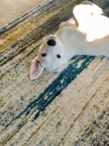 my daughter’s favorite being in the world