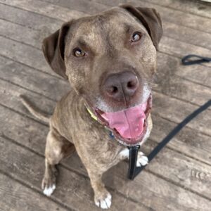 Kodak Is Seeking Foster