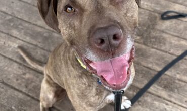 Kodak Is Seeking Foster