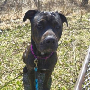 Marlo Is Seeking Foster