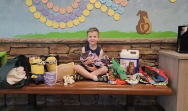 A Birthday for the Animals