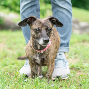 Mia Is Seeking Foster