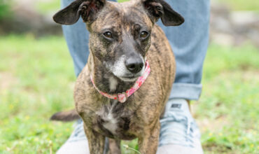 Mia Is Seeking Foster