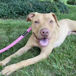 Scrabble Needs A Temp Foster Aug 9-17