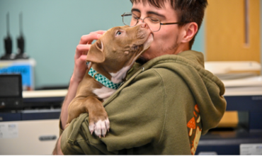 Four Puppies HSHV’s First to Benefit from Michigan’s New Animal Forfeiture Law