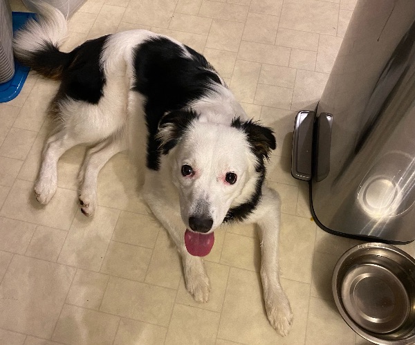 Lovable Luna!