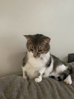 Needs a Fun, Loving Family