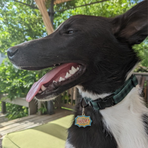 Playful, Athletic, and Sweet Tina