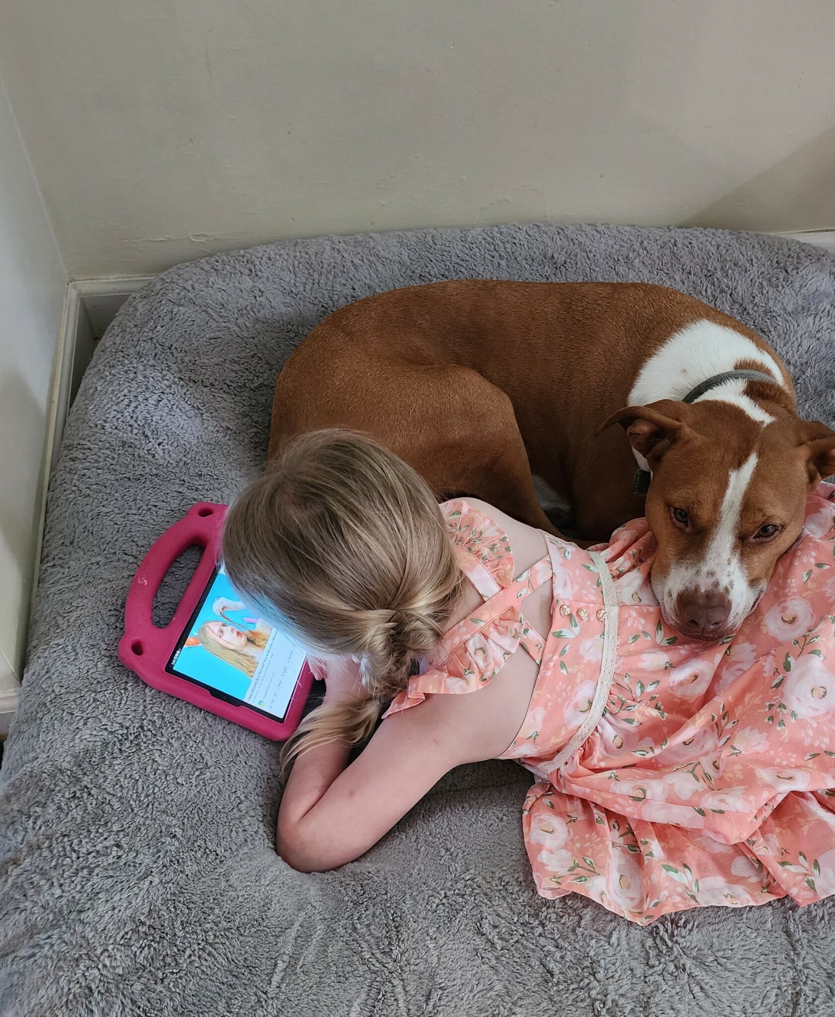 The Best Cuddler HSHV