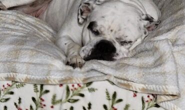 Lucy wants an adult to call her own