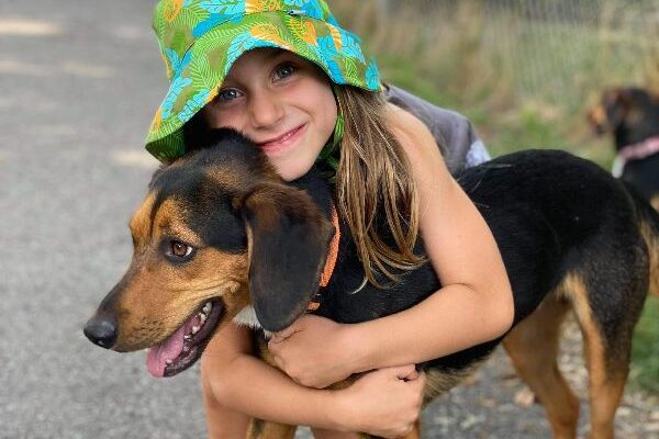 Great Family (but only animal) Dog