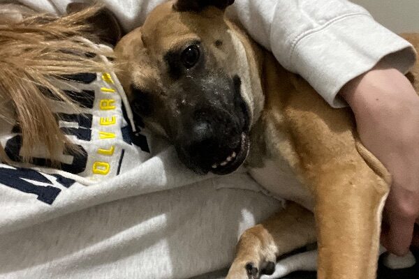 Peggy is Looking for Love