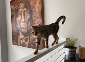 Mia needs a home!
