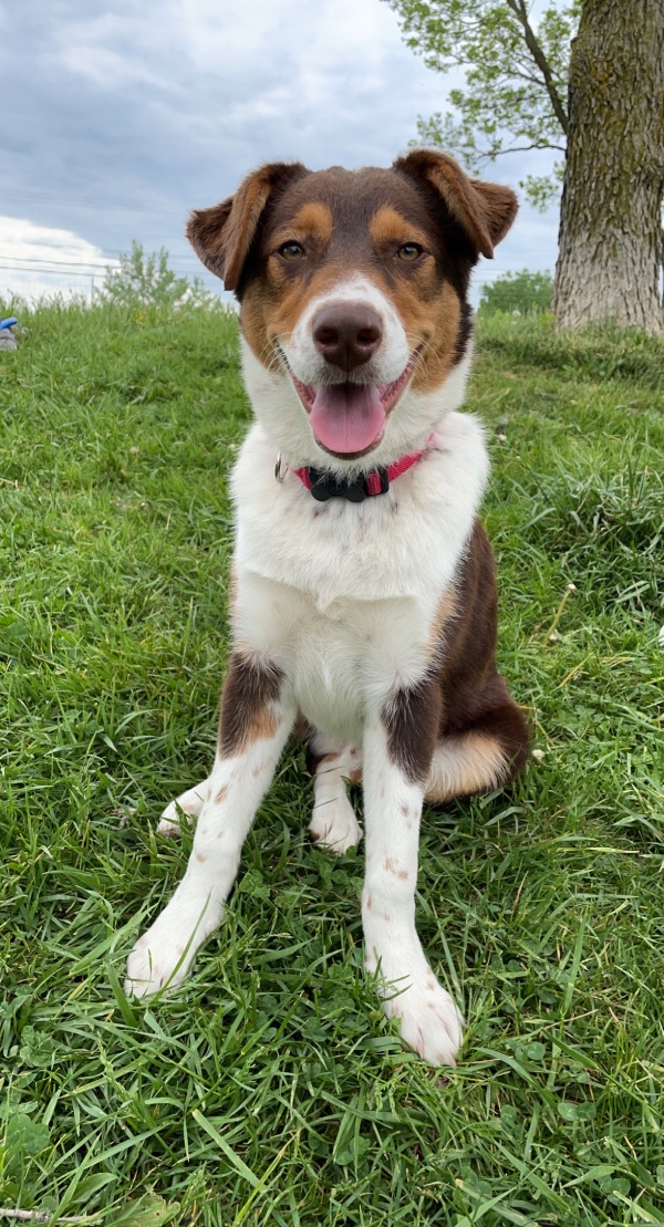 Hi, I’m Raava!
