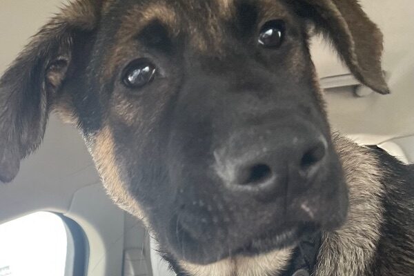 Meet Hunter