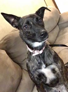 NikKee’s Looking for a Active Home