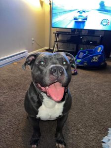 Pitty full of love!