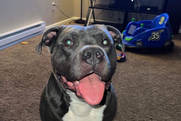 Pitty full of love!