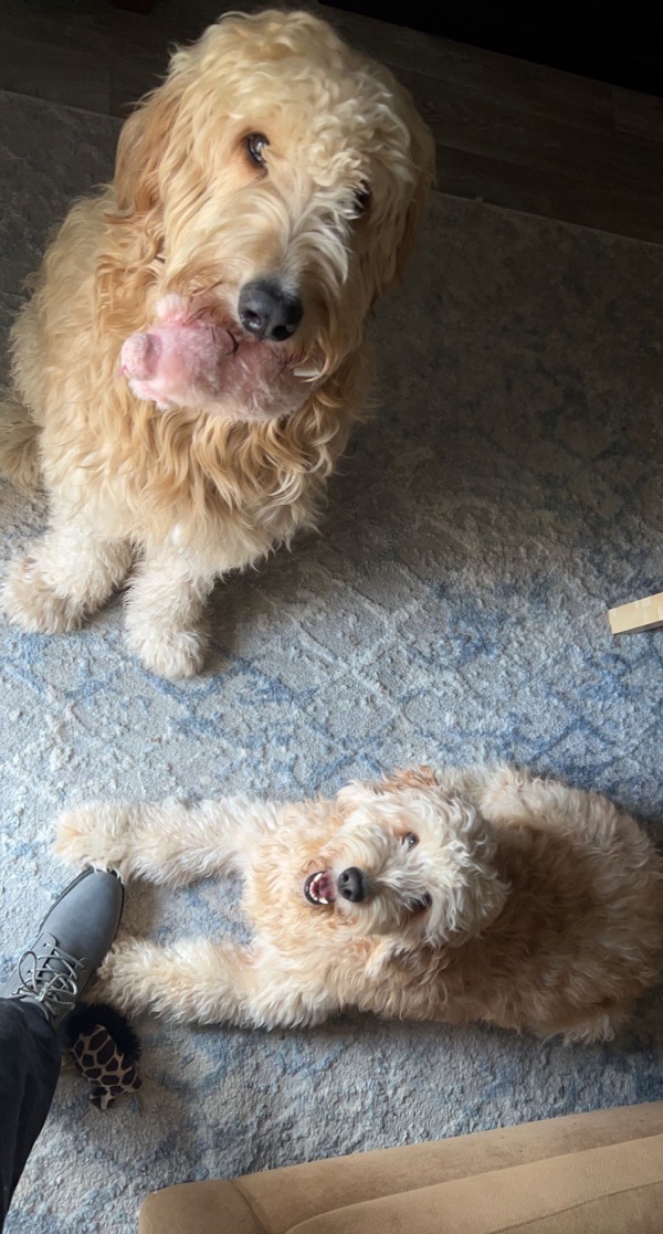 Zeus and Sandy