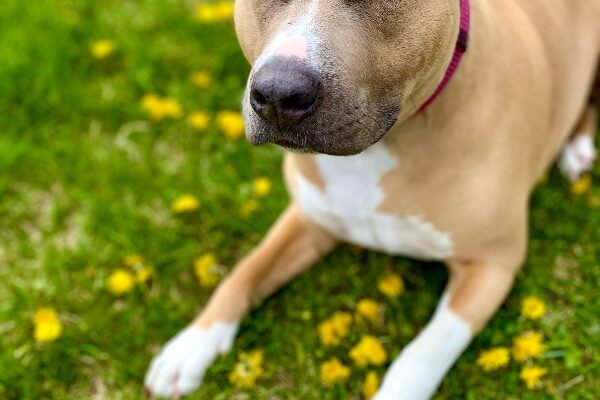 My Name is Stella