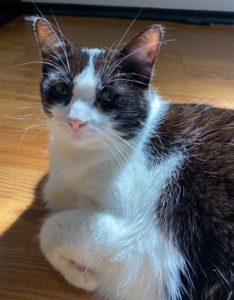 Sweet Girl Seeking New Life
