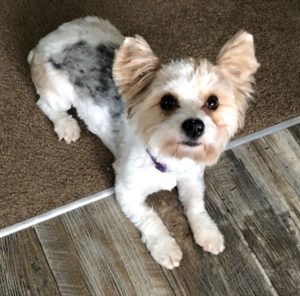 Beautiful Emmie