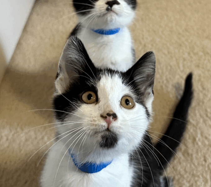 Osiris and Vance