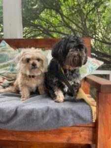 Betsy and Rosie- A Perfect Pair