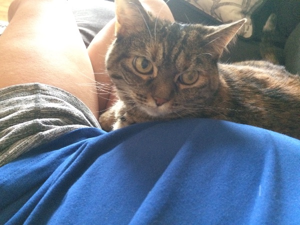 Purrs and Snuggles