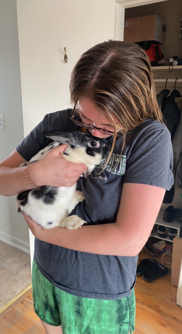 Big Male Rabbit