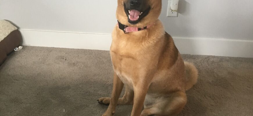 Lovely Luna