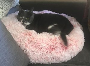 Sweet, Velvetty, 8-Year-Old Girl