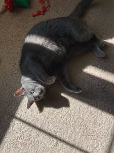 Greyson