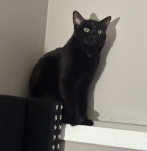 Salem