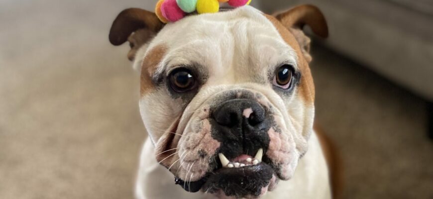 Rocko!!