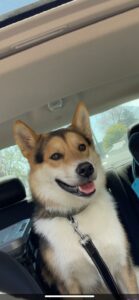 Koda