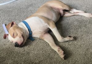 I don’t want him to go… but he has to.