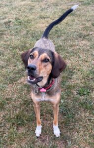 This active girl is looking for an active family!