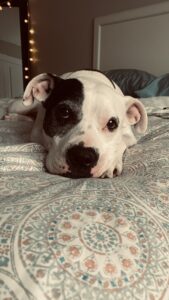 The best girl in the world (Cookie Monster)!