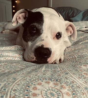 The best girl in the world (Cookie Monster)!