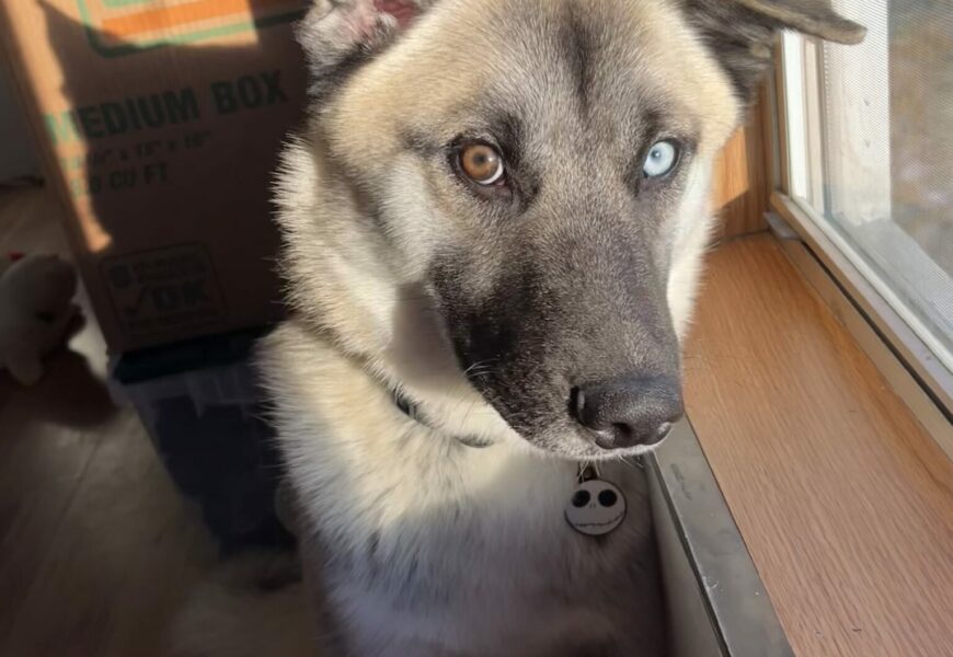 Very Friendly