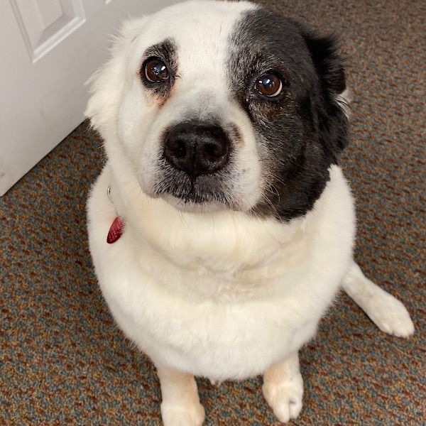 Lily needs more LOVE than I can give her.
