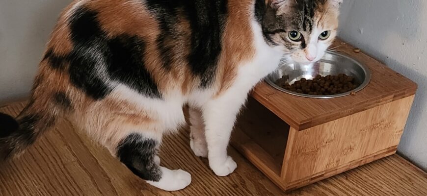 Lucy