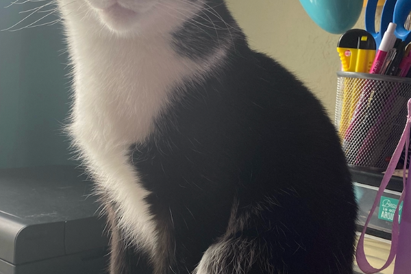 Henry