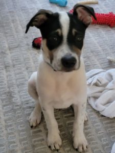 Meet Winston!