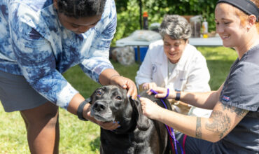 Free pet vaccines at “Friends for Life” event