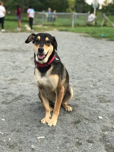 Are you sure you want to adopt HIM? He’s crazy!