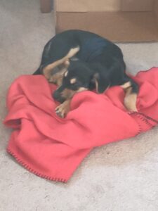 Ruby's Home
