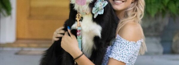 The puppy who had heart surgery