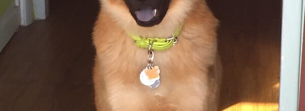 My precious gift